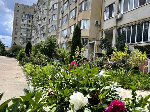 квартира за адресою Мальовнича вул. (Скворцова), 4а