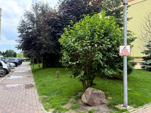 квартира за адресою Зелена вул., 2