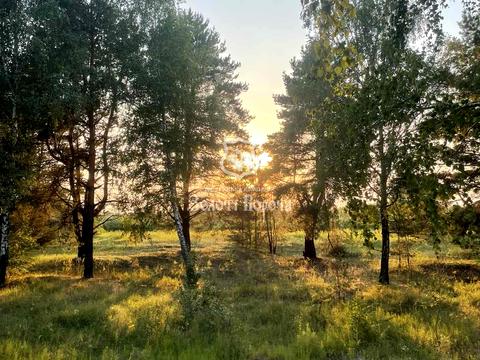 дом по адресу Київська вул., 19
