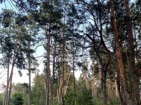 дом по адресу Київська вул., 19
