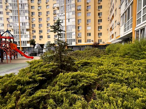 квартира за адресою Новомостицька вул., 15