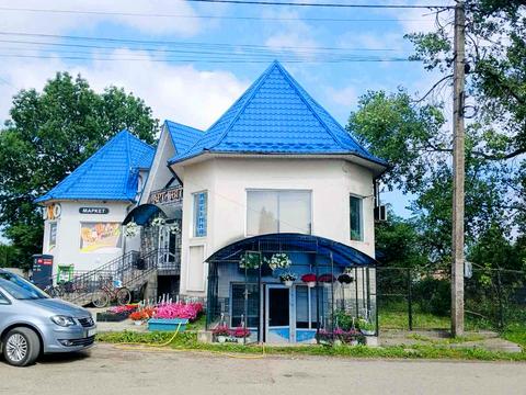 комерційна за адресою Центральна, 22
