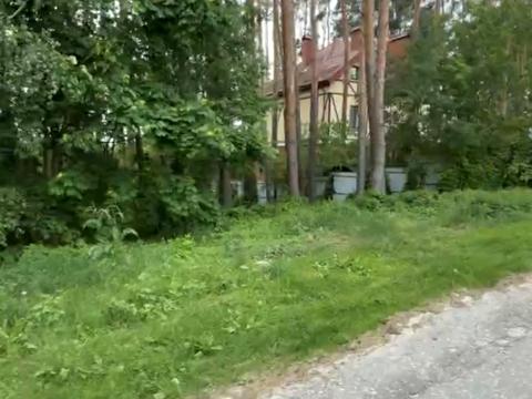 ділянка за адресою с. Блиставиця, 