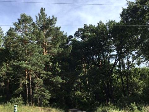 ділянка за адресою лаврова