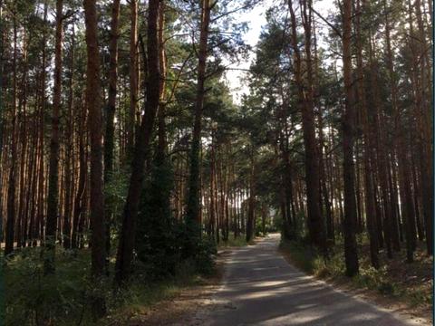 ділянка за адресою лаврова