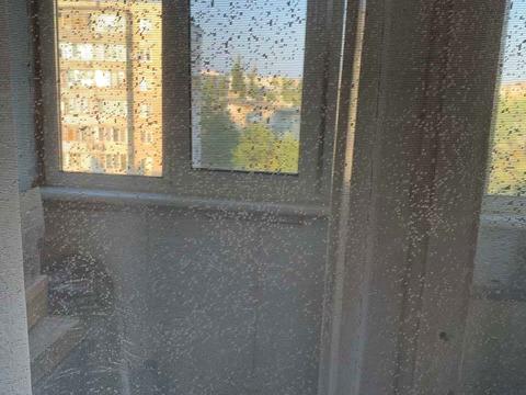 квартира по адресу Милютенко ул., 11