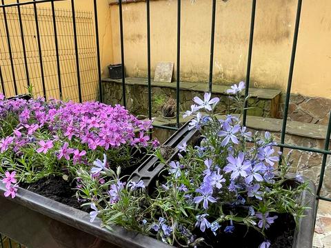 квартира за адресою Під Дубом вул. (Космонавтів), 8