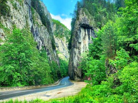 комерційна за адресою центральна, 9