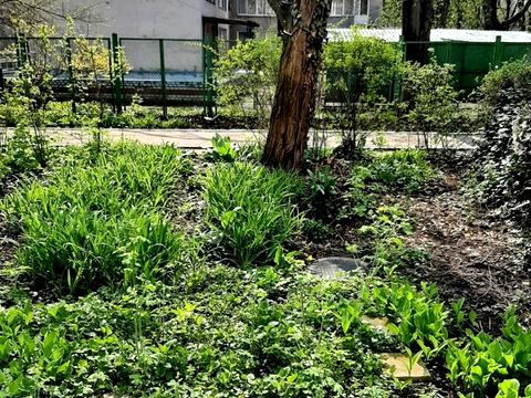 квартира по адресу Героев Крут ул. (Валентини Терешкової), 8б