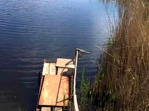 будинок за адресою Підгородне, сонячна