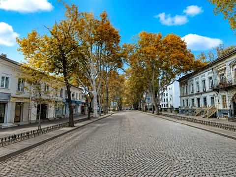 комерційна за адресою Італійська вул. (Пушкінська), 55