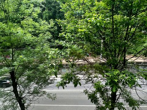комерційна за адресою Академіка Андрія Сахарова вул. (Суворова), 42