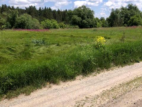 ділянка за адресою Зарічна
