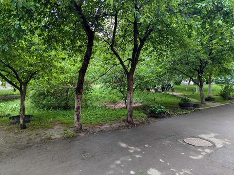 квартира за адресою Фабрична вул., 1