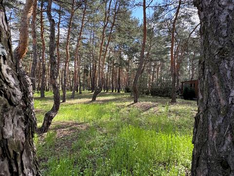 ділянка за адресою смт. Обухівка,