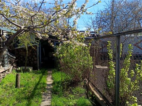 дом по адресу Сумы, Роменская ул.