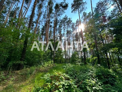 ділянка за адресою 