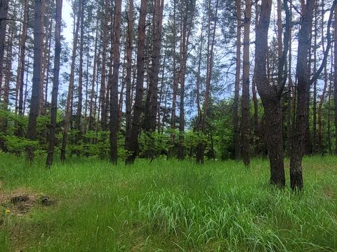 будинок за адресою с. Кобижча, Трипільська, 1