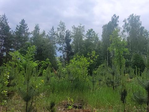 будинок за адресою с. Кобижча, Трипільська, 1