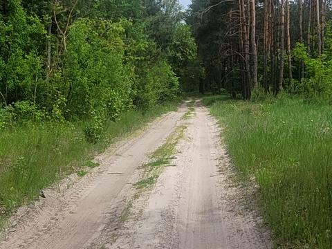 будинок за адресою с. Кобижча, Трипільська, 1