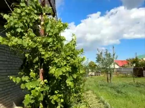 будинок за адресою Миколаївська, 46