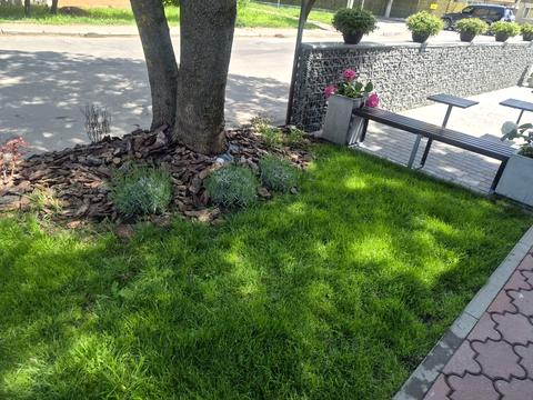 комерційна за адресою Хмельницький, Козацька вул., 62