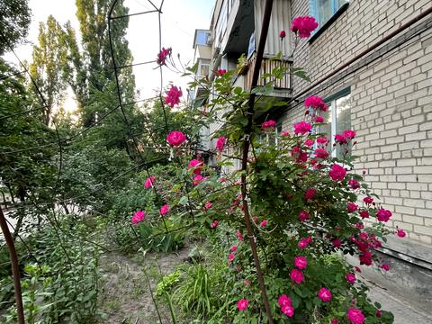 квартира по адресу Леоніда Каденюка ул. (Космонавта Волкова), 13
