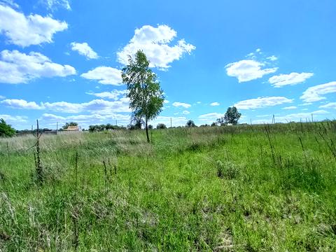ділянка за адресою Лісова, 9