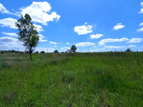 ділянка за адресою Лісова, 9
