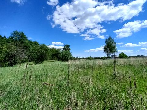 ділянка за адресою Лісова, 9