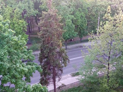 квартира за адресою Вишгородська вул., 46