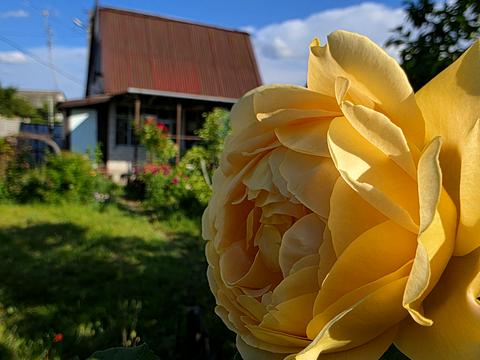 дом по адресу пгт. Слобожанское, СТ "Родничек-3"