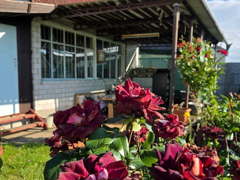 дом по адресу пгт. Слобожанское, СТ "Родничек-3"