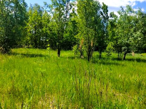 ділянка за адресою с. Віта-поштова, Звенигородська вул., 163