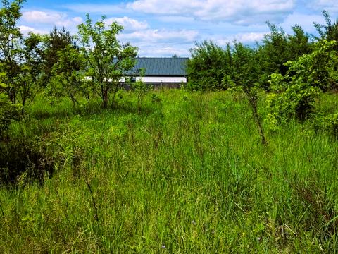 ділянка за адресою с. Віта-поштова, Звенигородська вул., 163