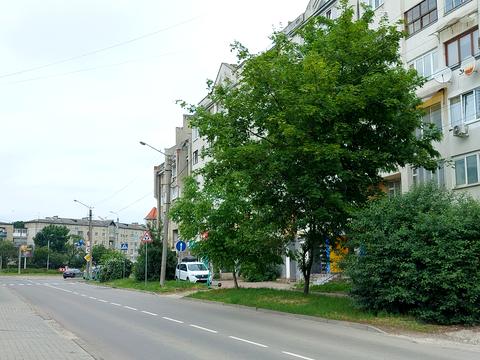 квартира по адресу Джохара Дудаева ул., 5