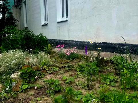 будинок за адресою Альпійський пров.