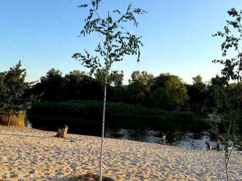 дом по адресу Обухівка