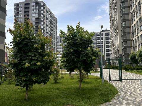 квартира за адресою Олександра Олеся вул., 4-А