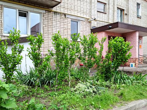 квартира за адресою Київська вул., 11