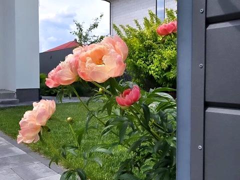 дом по адресу Остапа Вишні