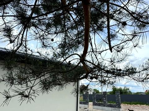 будинок за адресою с. Полянка, джерельна