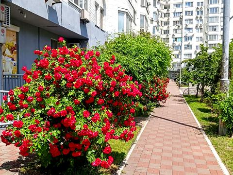 комерційна за адресою Миколи Бажана просп., 14