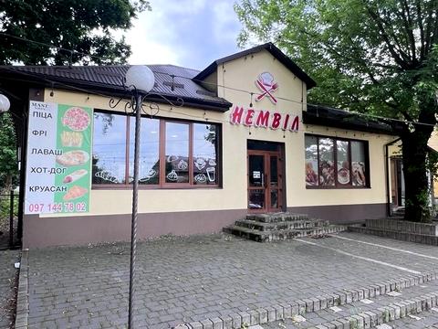 комерційна за адресою Володимира Великого вул., 17
