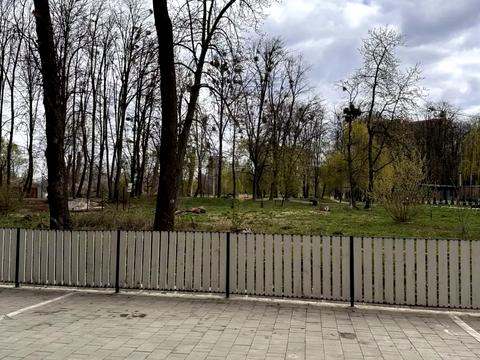 коммерческая по адресу Приозерна ул., 57
