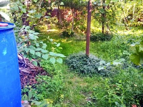 дом по адресу с. Хацки, Берегова, 36/а