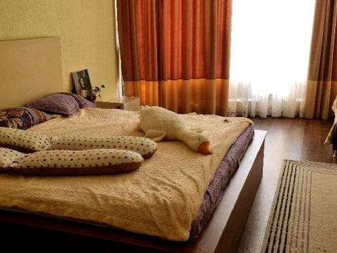 квартира по адресу Аркадиевский пер., 9/1
