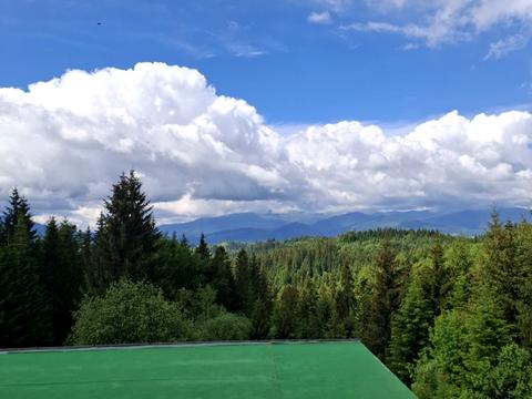 комерційна за адресою горішків, 5