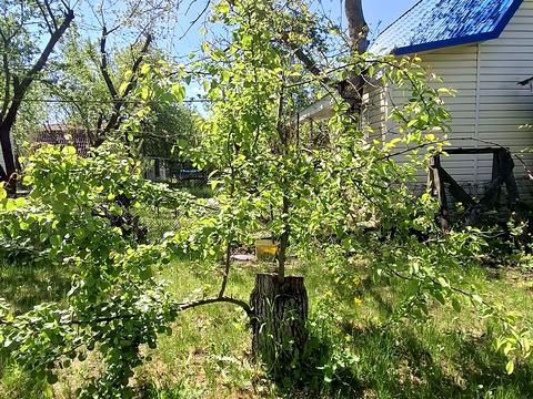дом по адресу Зарічна, 32