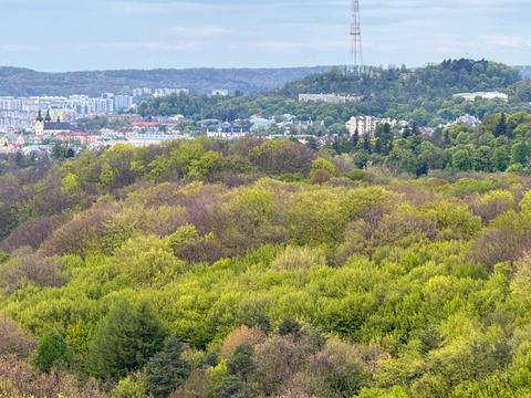 квартира по адресу Шафарика ул. (Рагузова), 6а